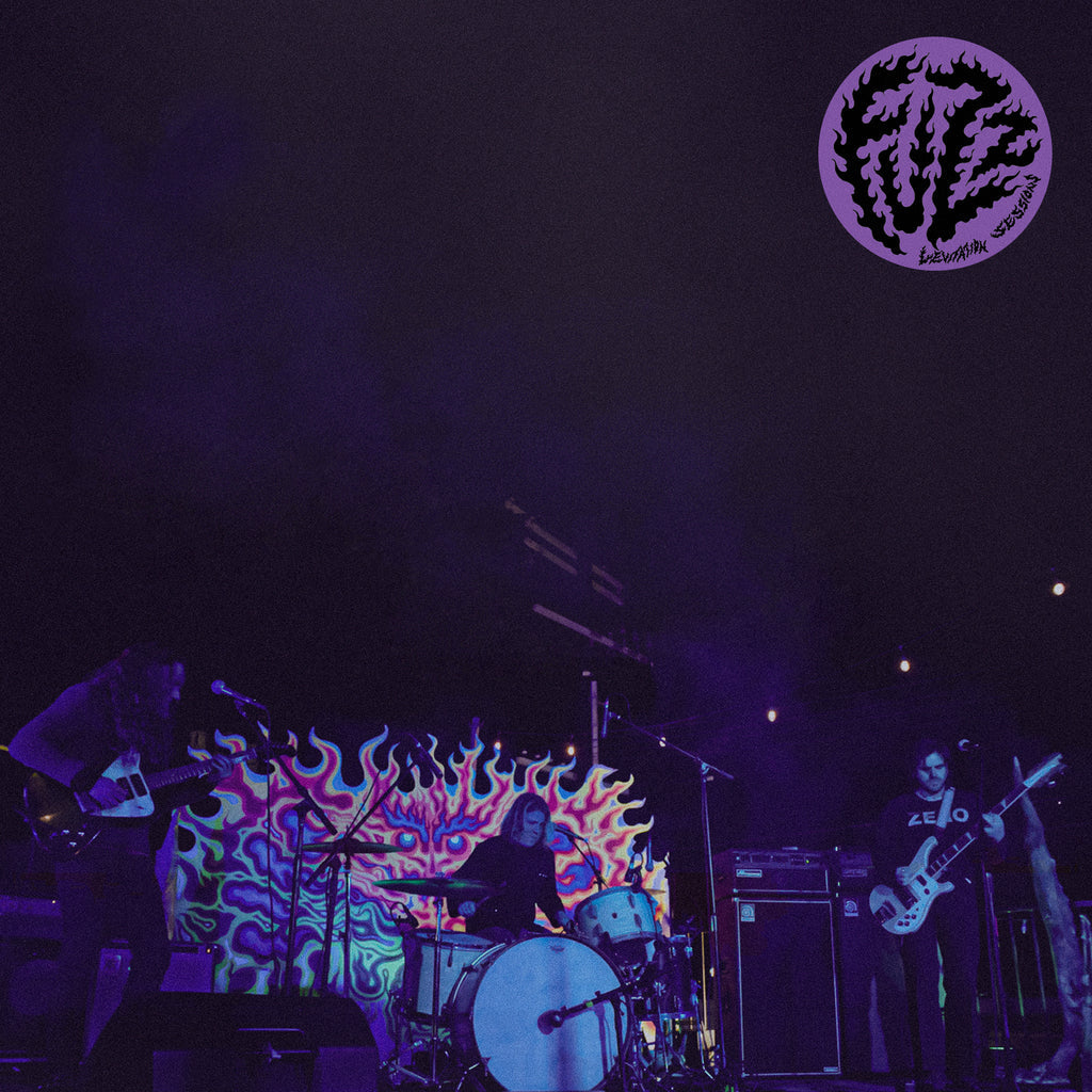 FUZZ - Levitation Sessions LP - Hipnosis